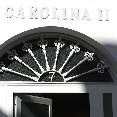 Carolina * טורמולינוס